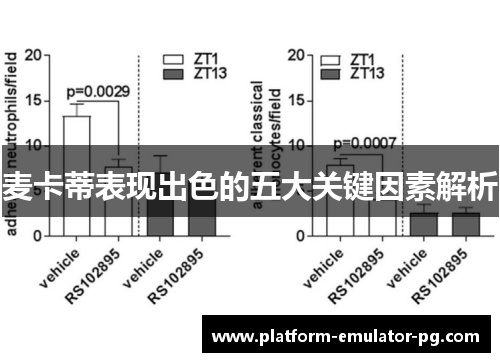 麦卡蒂表现出色的五大关键因素解析