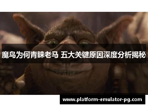 魔鸟为何青睐老马 五大关键原因深度分析揭秘