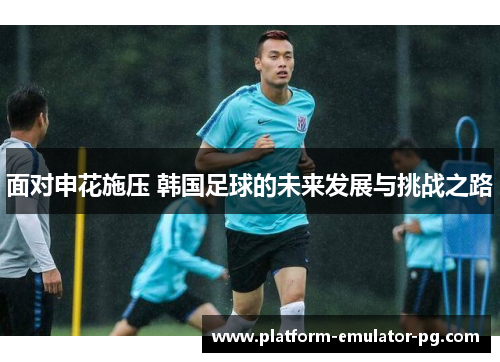面对申花施压 韩国足球的未来发展与挑战之路