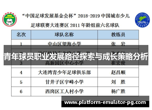 青年球员职业发展路径探索与成长策略分析