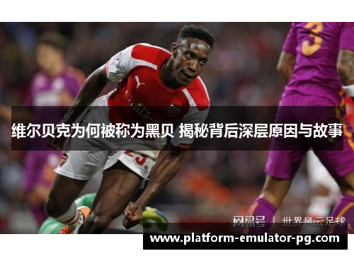 维尔贝克为何被称为黑贝 揭秘背后深层原因与故事