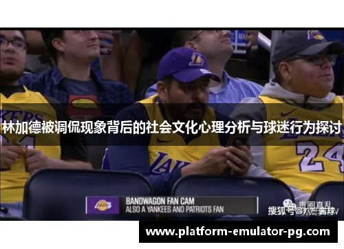 林加德被调侃现象背后的社会文化心理分析与球迷行为探讨