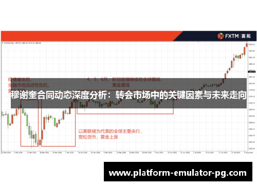 穆谢奎合同动态深度分析：转会市场中的关键因素与未来走向