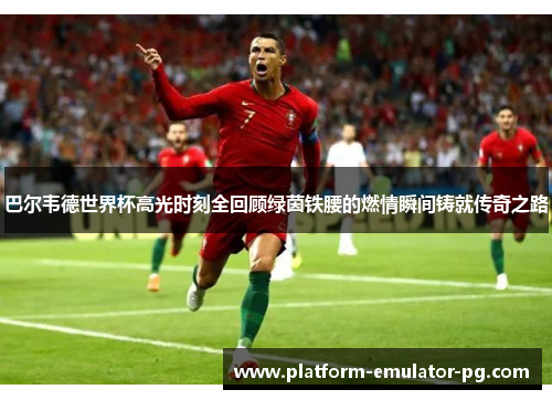 巴尔韦德世界杯高光时刻全回顾绿茵铁腰的燃情瞬间铸就传奇之路