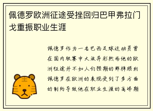 佩德罗欧洲征途受挫回归巴甲弗拉门戈重振职业生涯